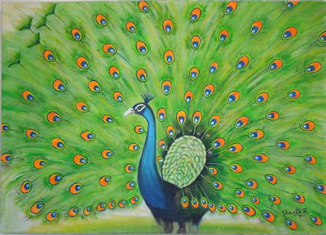 Indian Peacock Art