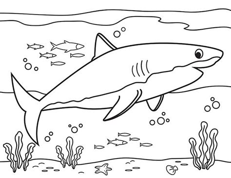 Printable Great White Shark Coloring Page | Shark coloring pages ...