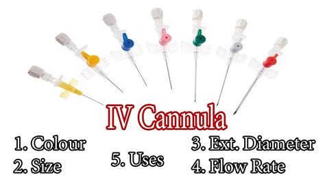 IV Cannula Types, Color Code, Sizes, 48% OFF