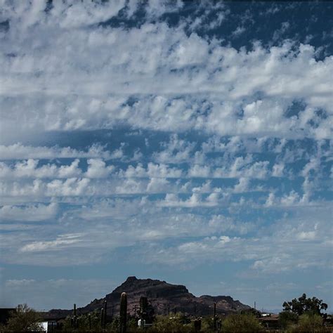 Castellanus - Cloud Appreciation Society