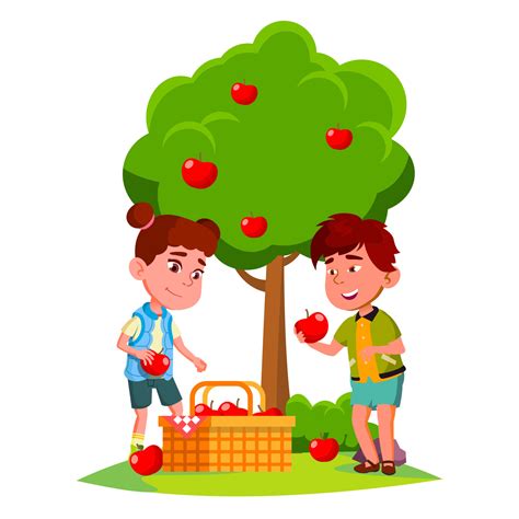 Kids Harvest Apples In Basket Near Apple Tree Vector. Isolated ...