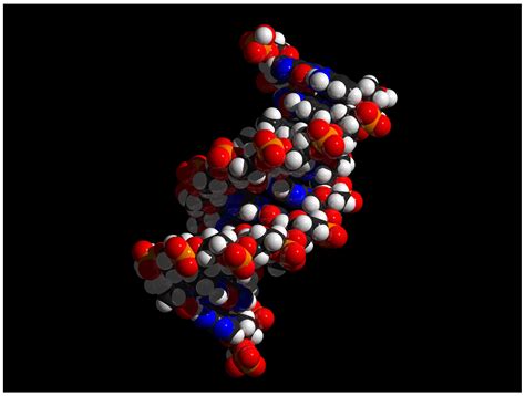 Dna Double Helix Images