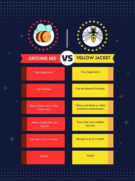 Revealing The Conflict: Ground Bees vs Yellow Jackets | Beekeepingstudy