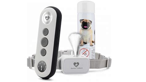 Best dog collars for barking: no-shock, humane deterrent