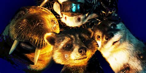 ‘Guardians of the Galaxy 3’: How Was Rocket Made?