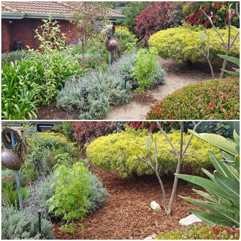 Perth Garden Photos, Gardenting Photos Perth – Gardener Perth