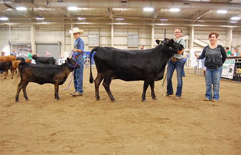 Expo Photos - American Dexter Cattle Association