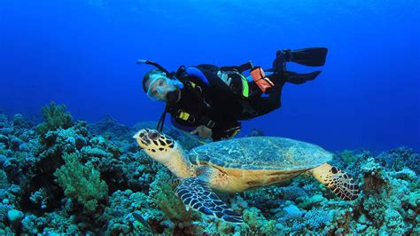 Diving Reefs and Wrecks in Coron, Palawan - Palawan