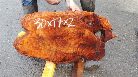 Ethically Sourced Redwood Burl - Redwood Burl Inc.