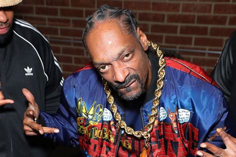 Snoop Dogg angrily quits Twitch live stream, forgets to turn video off ...