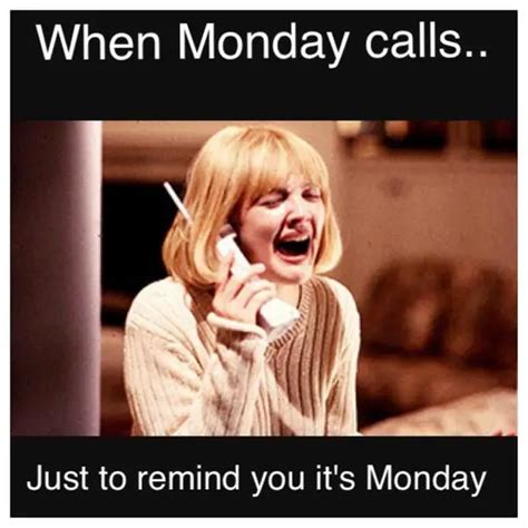 67+ Monday Memes: Be Ready To Fall About Laughing - BayArt