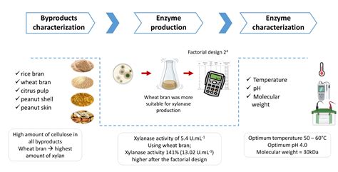 Xylanase Production by Talaromyces amestolkiae Valuing Agroindustrial ...