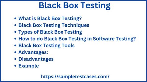 Black Box Testing- Techniques, Types & Example