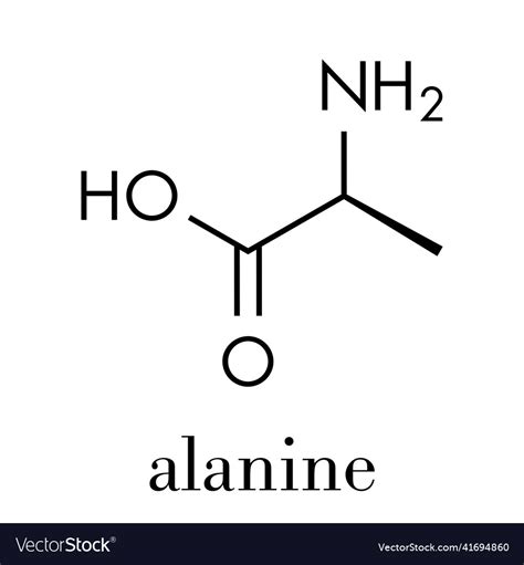 Alanine l-alanine ala a amino acid molecule Vector Image