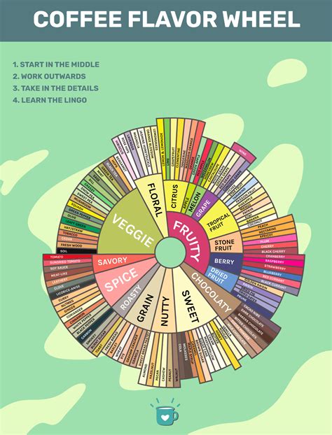 Coffee Flavour Wheel: What Is It and How Is It Used