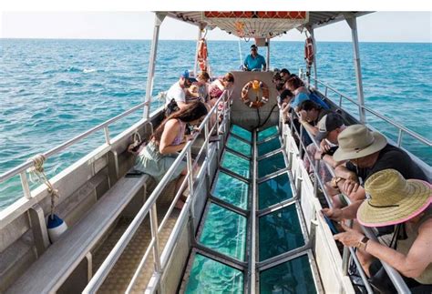 Glass Bottom Boat Dry Tour | 9:30am - Fitzroy Island Resort Reservations