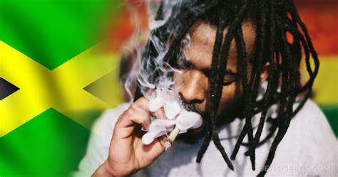 Exploring The Dynamics Of Weed In Jamaican Culture | Wah Deh Gwaan