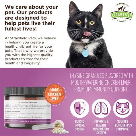 L-Lysine Immune Support for Cats - 900mg Per Included Scoop - 7oz(200g ...