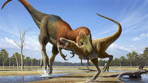 Study Aims to Bring Nanotyrannus, a Tinier Tyrannosaur, Back From ...