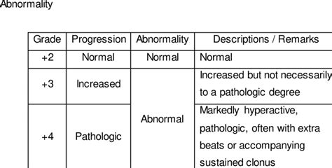 Deep Tendon Reflexes Chart