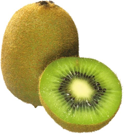 Kiwi PNG Image | Fruit picture, Fruit, Fruits drawing