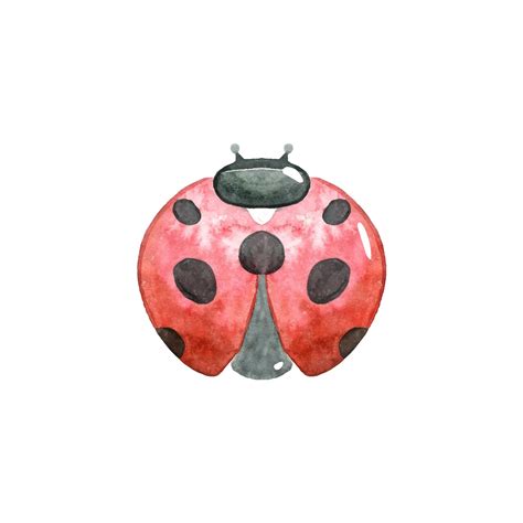 Premium Vector | Watercolor red ladybird