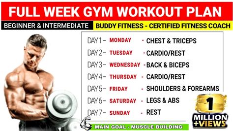 Full Week Gym Workout Plan For Muscle Gain | Beginners & Intermediate ...