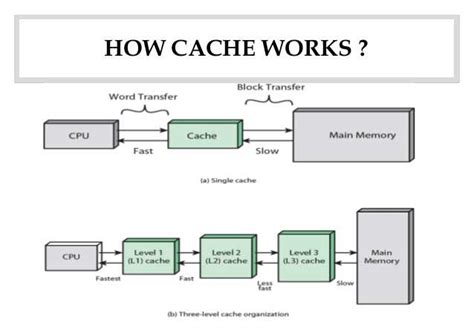 Types of Cache Memory in a CPU