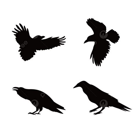 Flying Crows Silhouette