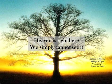 Quote from the book Clouds of Heaven Beings of Light Golden Lights ...