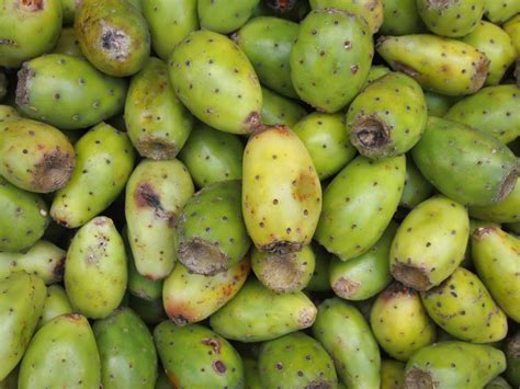 Prickly Pear Fruit