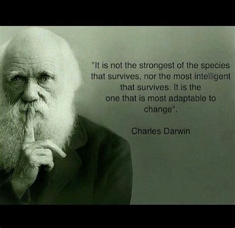 Adaptability is strength | Darwin quotes, Charles darwin quotes, Wisdom ...