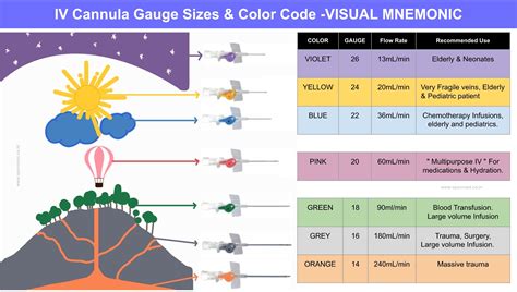 IV Cannula Gauge Sizes, Color Code, Flow Rate & Uses -VISUAL MNEMONIC