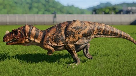 Ceratosaurus. in 2020 | Spinosaurus, Types of armor, Herbivores