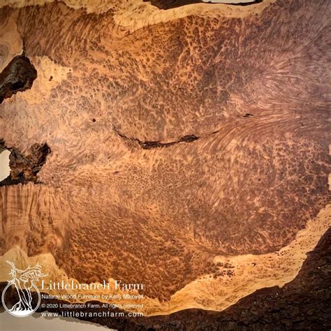 Redwood burl wall art - Littlebranch Farm