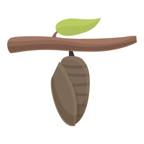 Natural cocoon icon cartoon vector. Nature leaf 21272286 Vector Art at ...