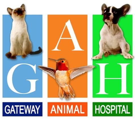 VCA GATEWAY ANIMAL HOSPITAL - Updated December 2024 - 142 Photos & 512 ...