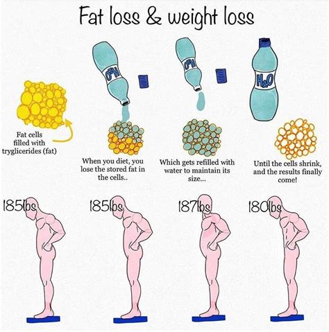 Fat Loss VS Weight Loss - Crossfit F15