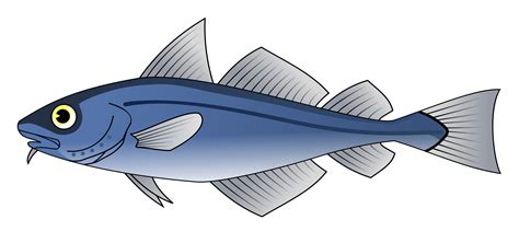 Tuna clipart tuna fish, Tuna tuna fish Transparent FREE for download on ...