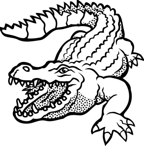 Crocodile Black And White PNG & Transparent Crocodile Black And White ...