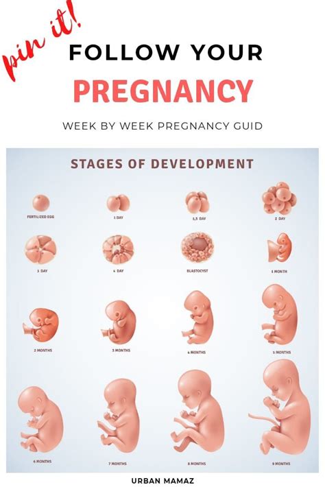 Pregnancy Symptoms One Week Late, - Pregnancy Sympthom