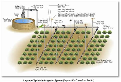 Sprinkler Irrigation System - Irrigation Experts