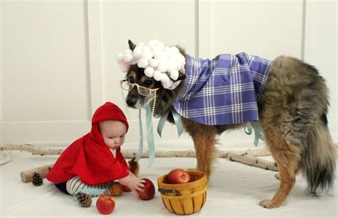 The Sweetest Little Red Riding Hood and the Big Bad Wolf Costume {a ...