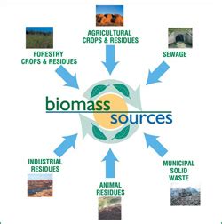 Biomass Resources