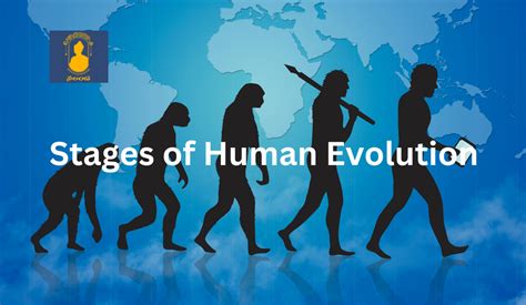 What are the Stages of Human Evolution? - Nalanda Educational Institutions