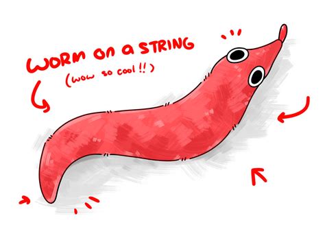 Worm on a String by LexisSketches on DeviantArt