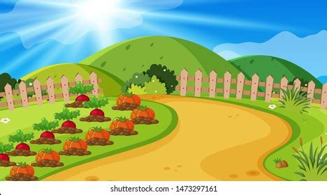 Background Design Landscape Vegetable Garden Illustration Stock Vector ...