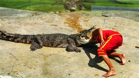 5 animal parks and zoos in Bangkok | Bangkok Has You