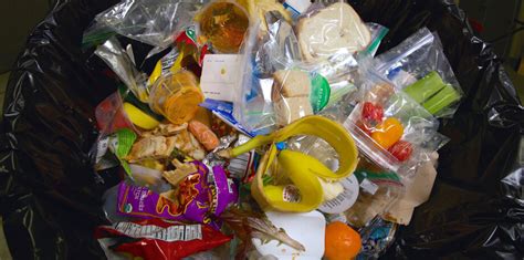 School food waste is a big problem. Here's what we can do about it. | Ensia