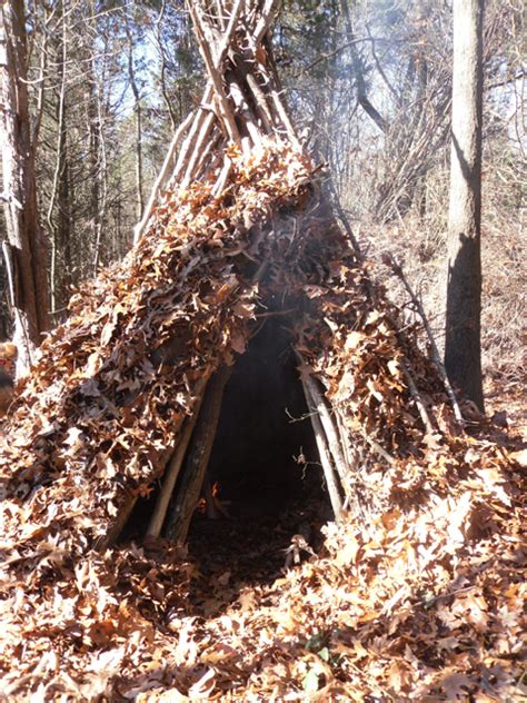 How to Make a Wikiup Survival Shelter | Gun Digest